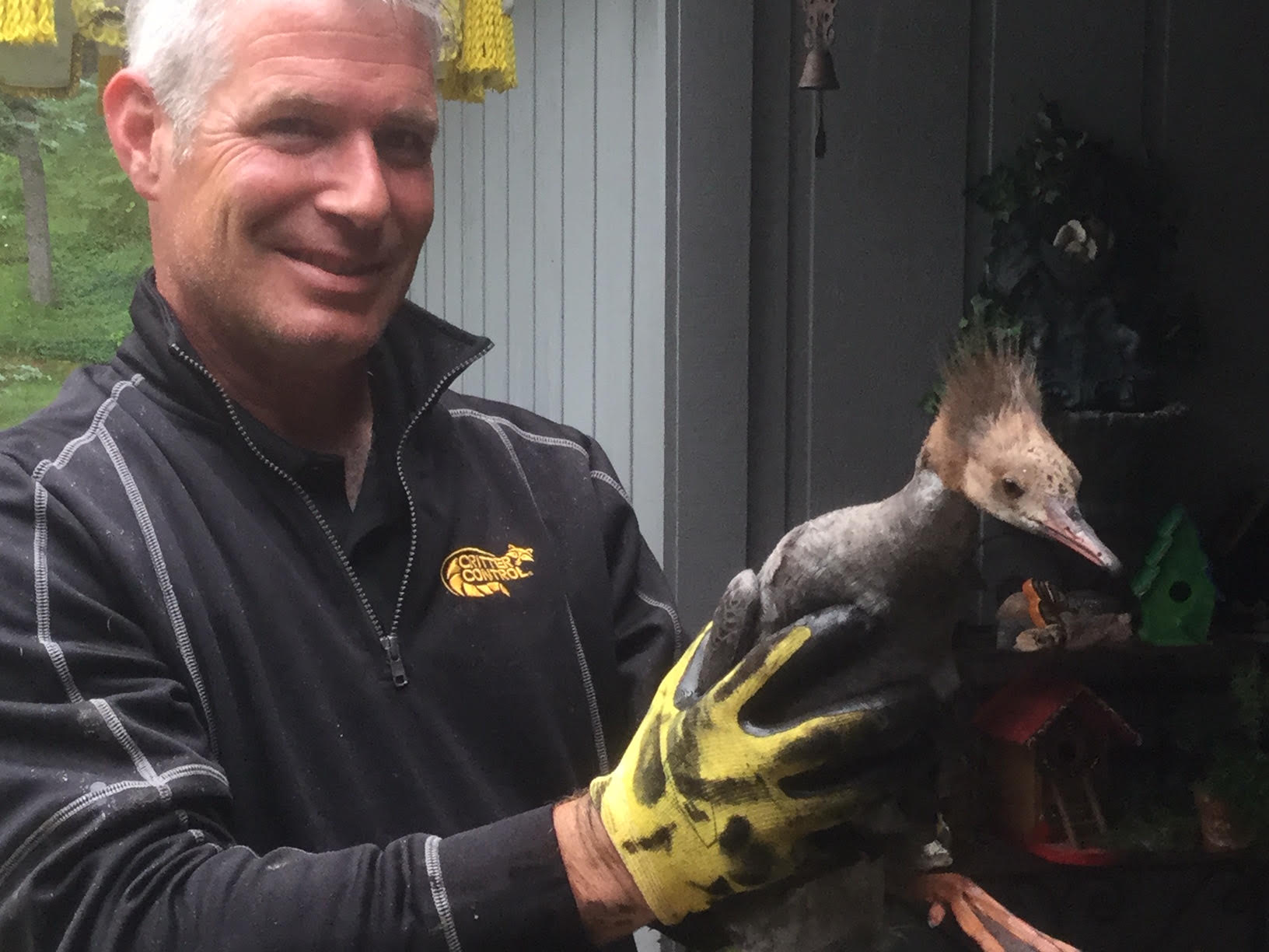 Critter Control technician holding removed wildlife in Milwaukee.